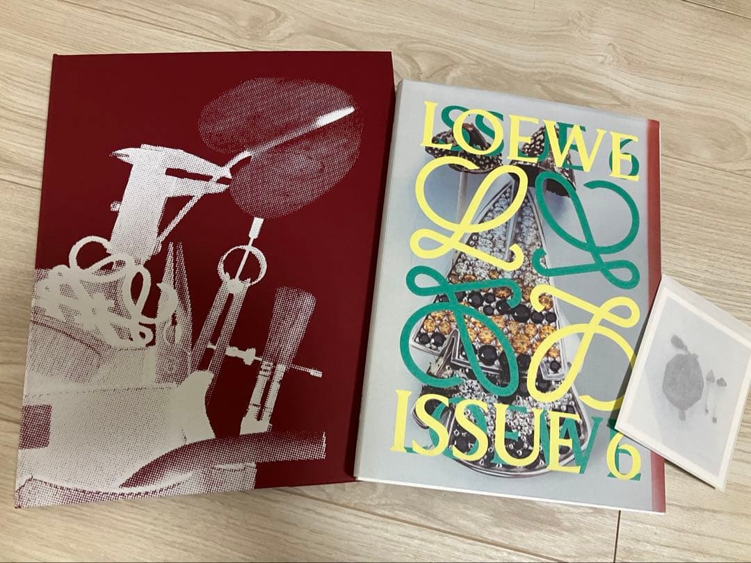 【激レア】ロエベLOEWE クラフテッドワールド展写真集 カタログISSUE6