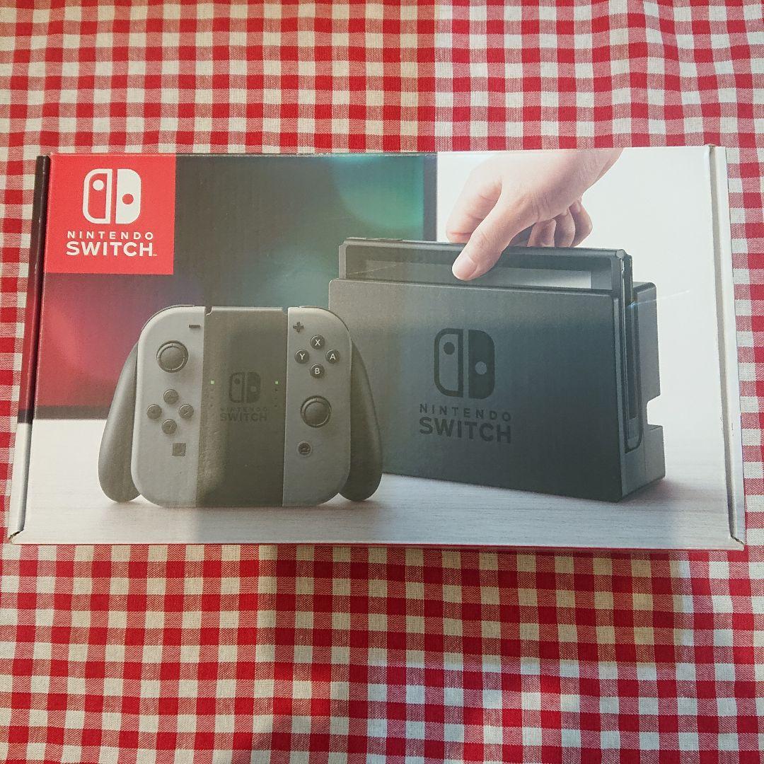 HAC-001 ポーチ保護シート付きSwitch 本体 グレー