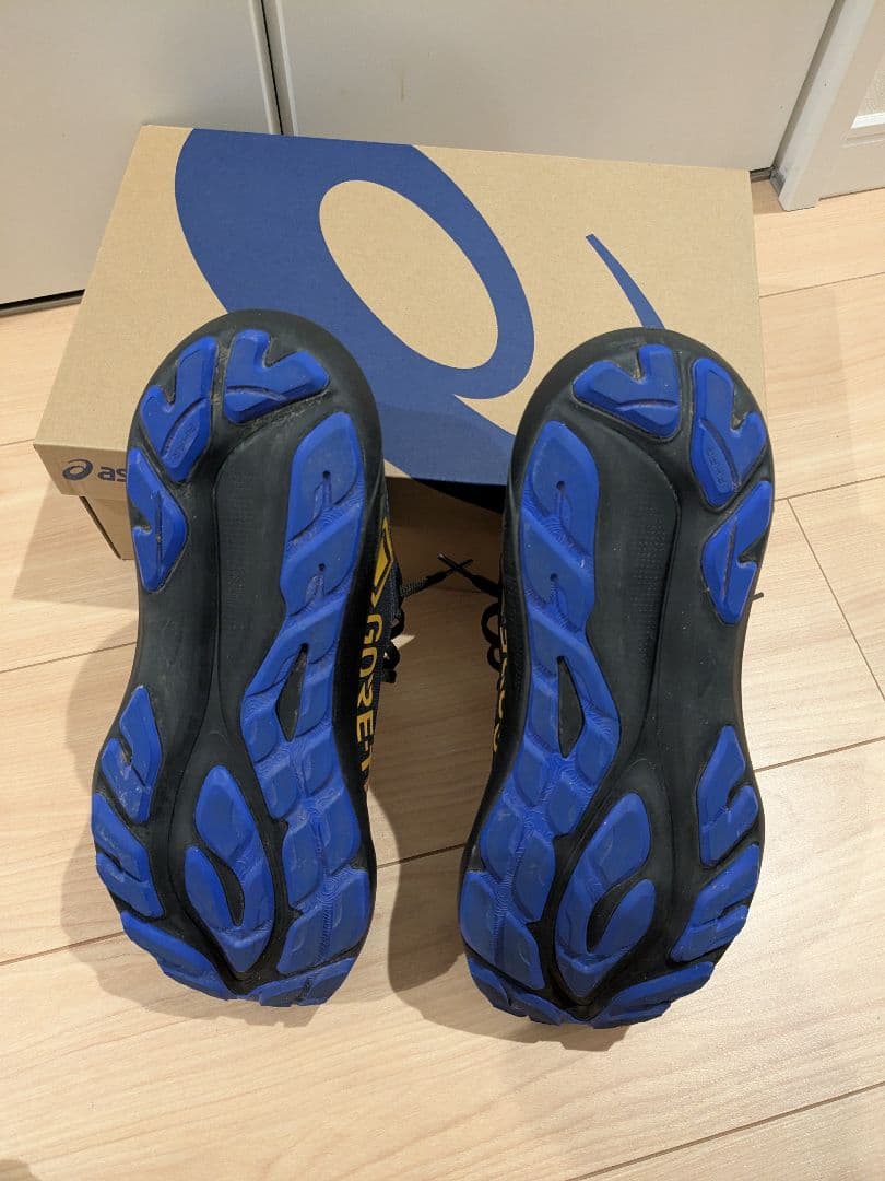 ASICS GT-2000　14GTX　サイズ27　メンズ