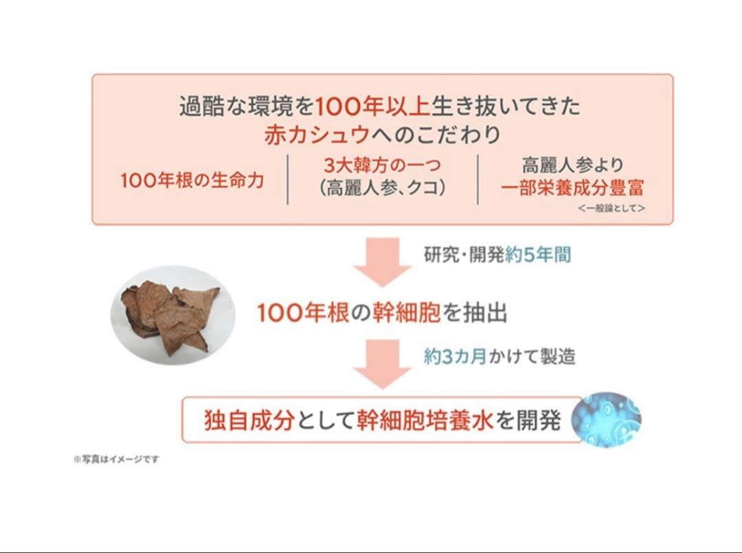 サイムダンプレミアム　ファーストクラス　コンセントレートモイスチャーウォッシュ