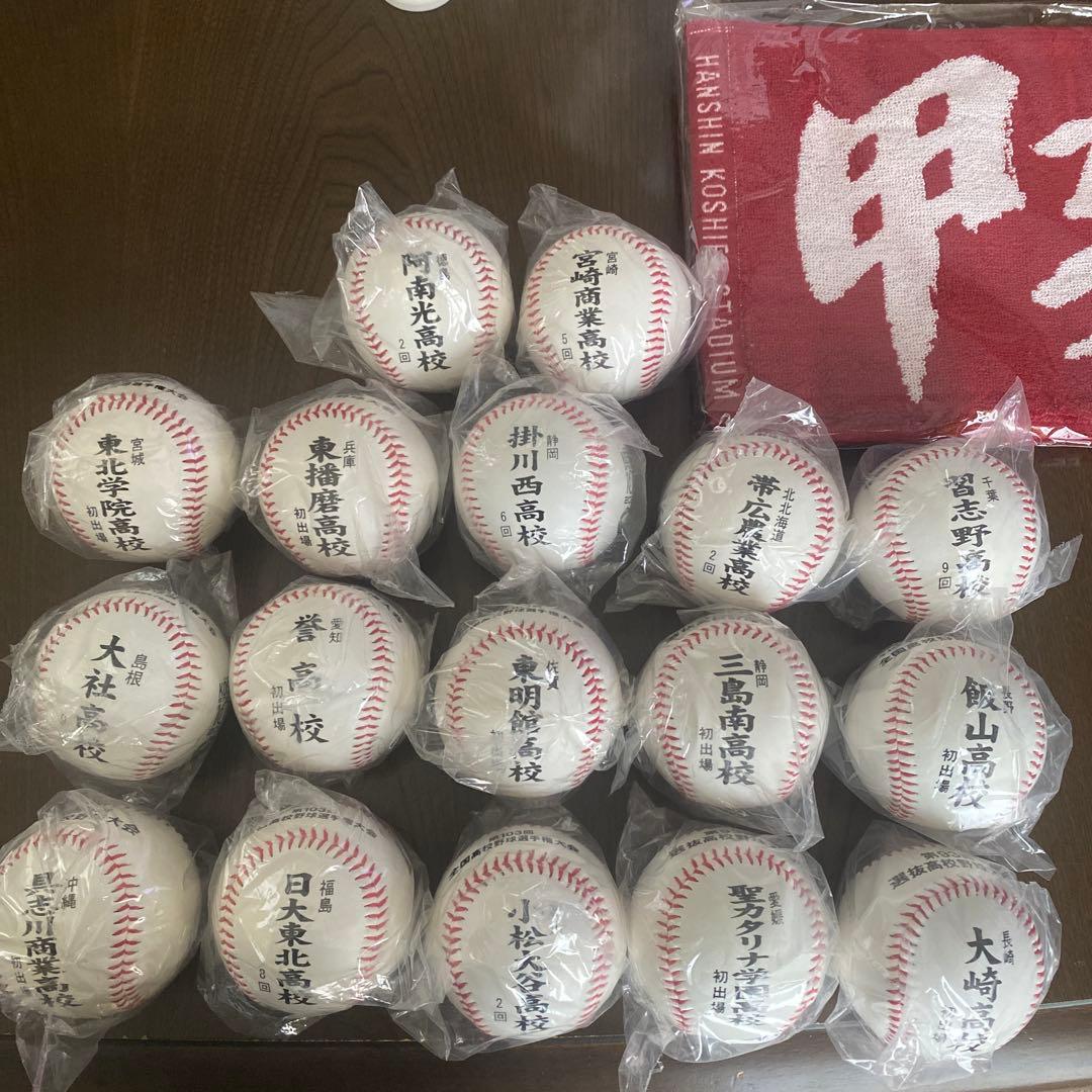 甲子園大会 記念ボール　17個セット タオル付き