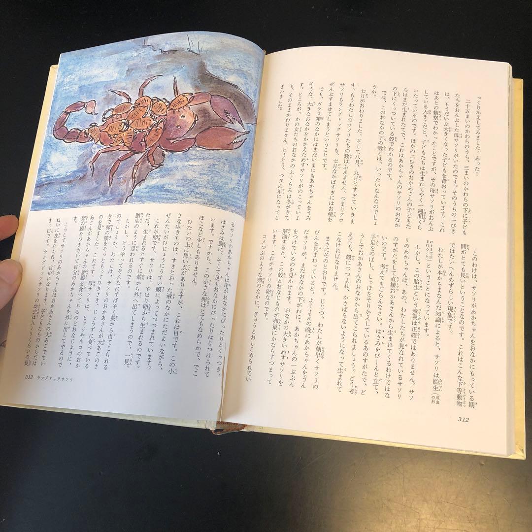 古書　昆虫記　カラー版　少年少女世界の文学　レトロ　河出書房　昭和