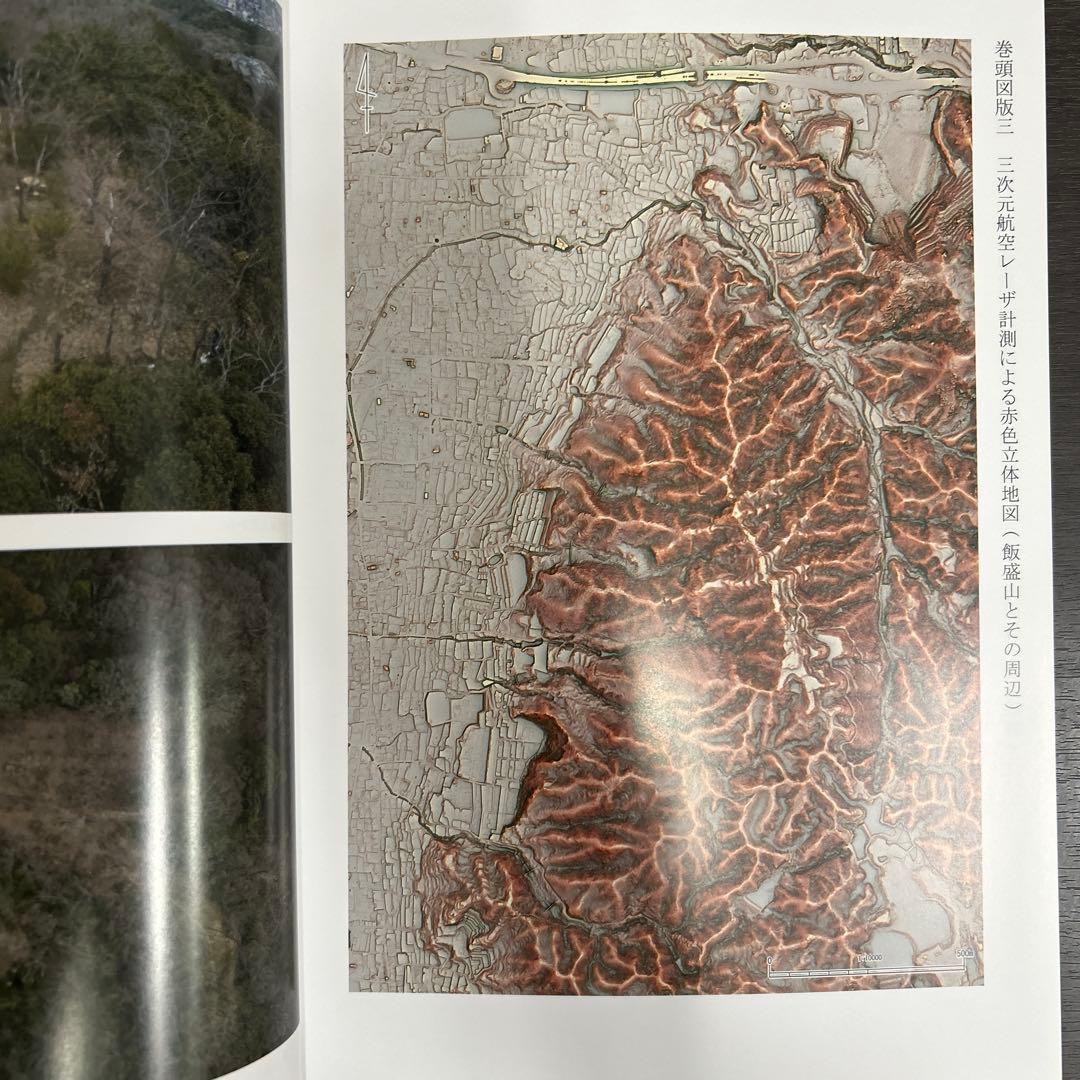 文化財調査報告書　飯盛城跡総合調査報告書　考古学　中世城館　山城　三好長慶