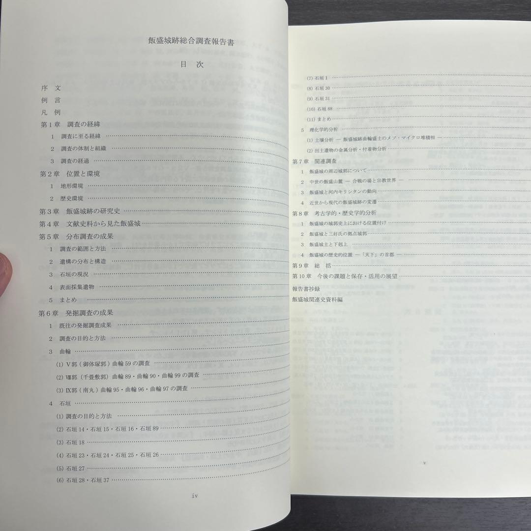文化財調査報告書　飯盛城跡総合調査報告書　考古学　中世城館　山城　三好長慶
