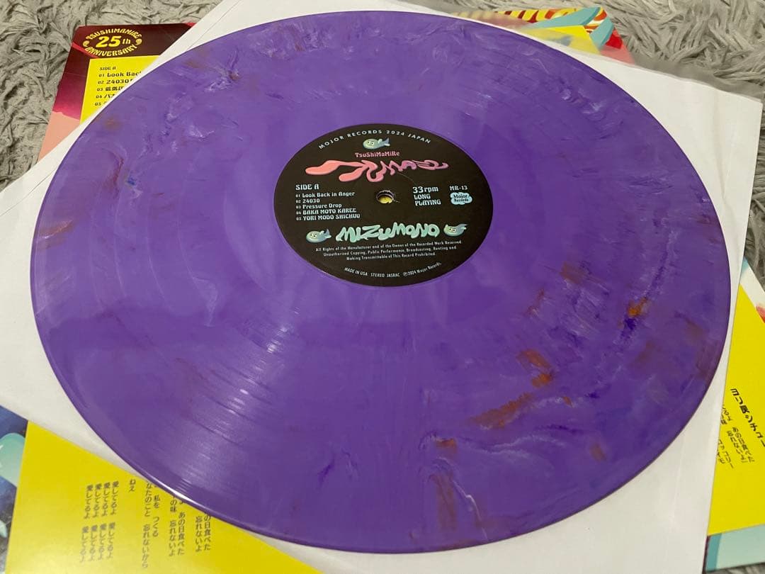 つしまみれ バンドは水物 LP