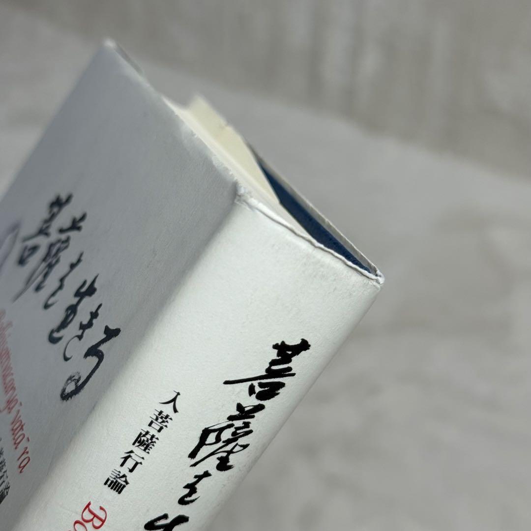 菩薩を生きる : 入菩薩行論