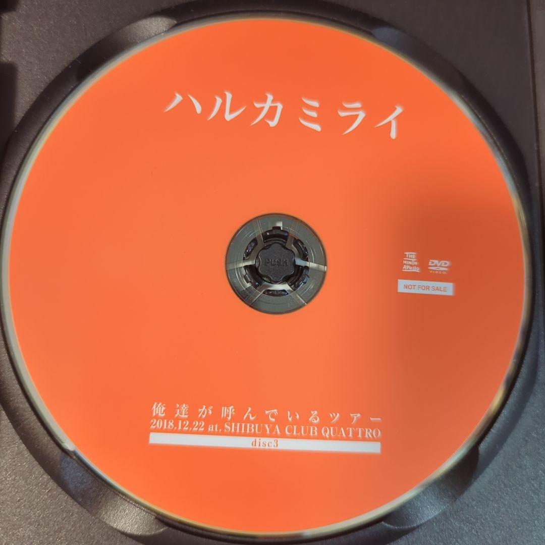 ハルカミライDVD２枚セット