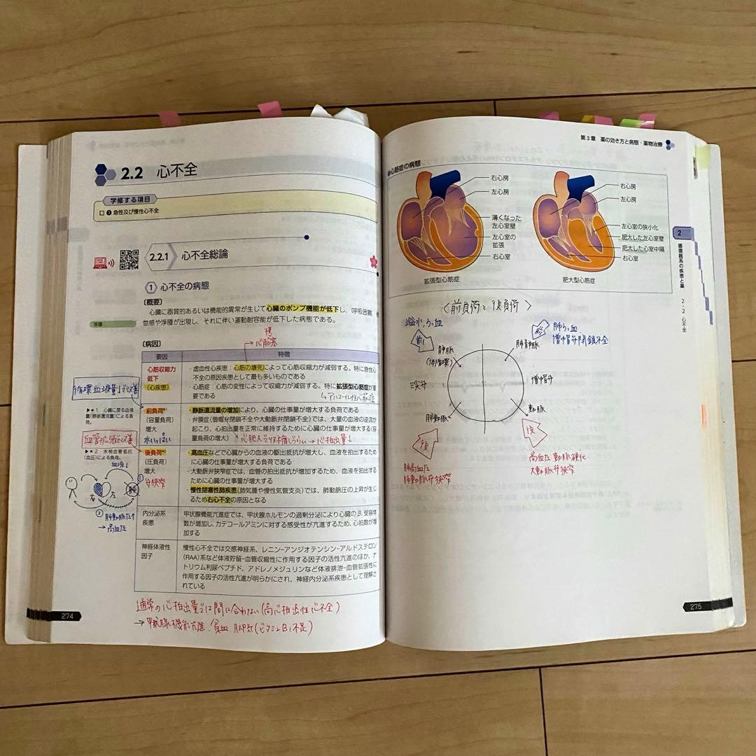 【書き込みあり】　第110回薬剤師国家試験対策参考書　青本青問セット（おまけ付）