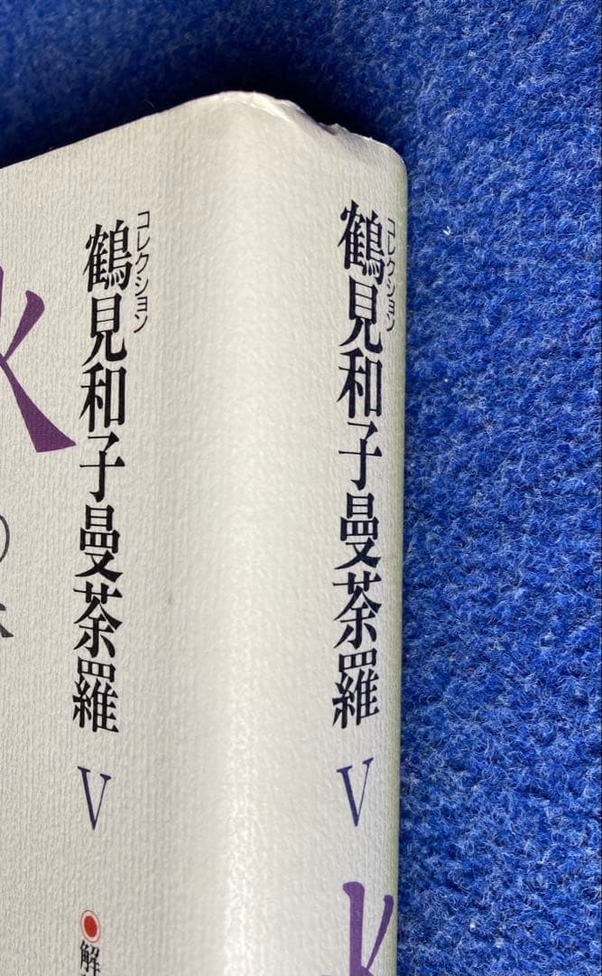 鶴見和子曼荼羅Ⅴ 水の巻　南方熊楠のコスモロジー