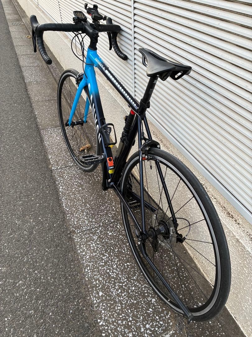 Canyon endurance al フレームセット