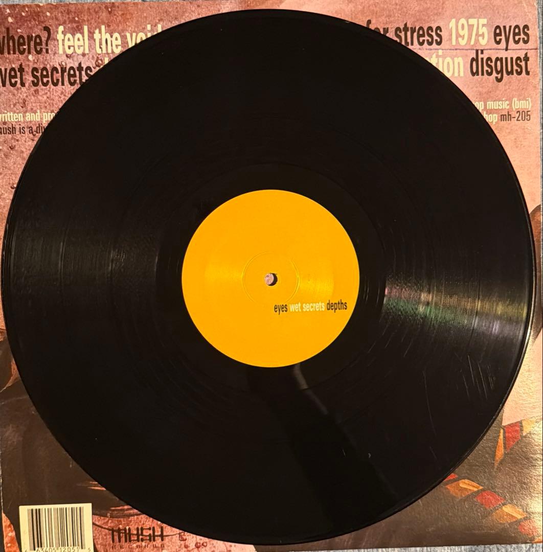 洋楽 Fat Jon Wave Motion 2LP
