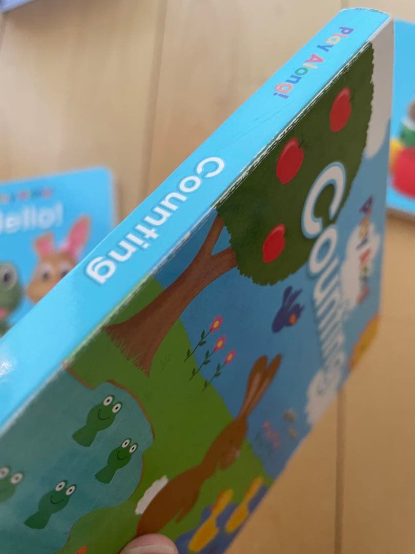DWE Play Along! DVD CD 絵本セット歌詞入りガイドブック