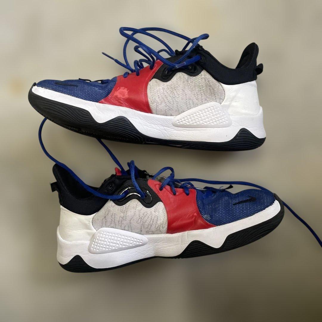シューズ(男性用) NIKEpg5