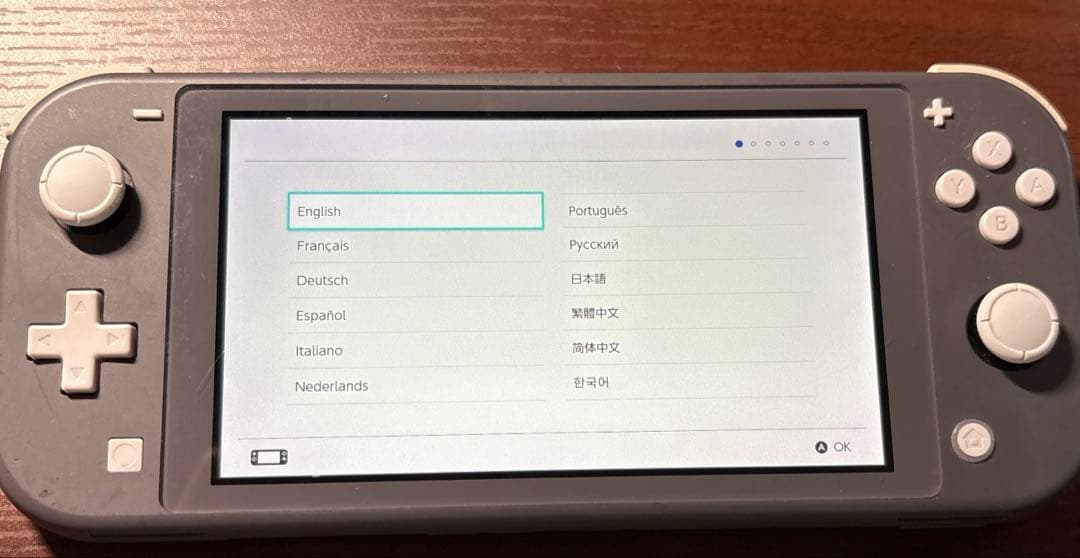 Nintendo Switch ライト グレー もる様専売