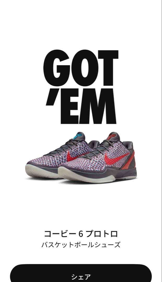 KOBEⅥ 3D Hollywood 28cm 未使用 KOBE6 コービー6
