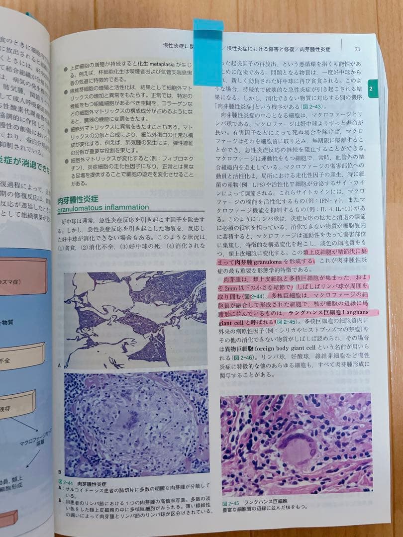 カラー ルービン病理学 臨床医学への基盤/ロビンス　基礎病理学