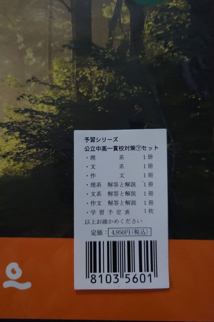か*ゃ様 四谷大塚予習シリーズ 公立中高一貫校セット 6年