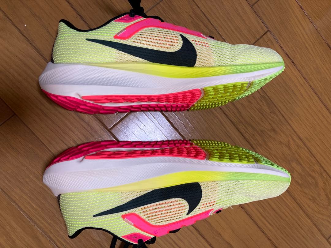【室内のみの使用】Nike Air Zoom Pegasus 40 25.5cm