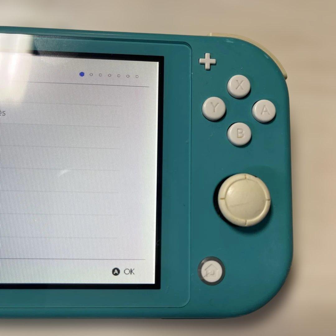 Nintendo Switch Lite ターコイズ ジャンク品ケース　充電器