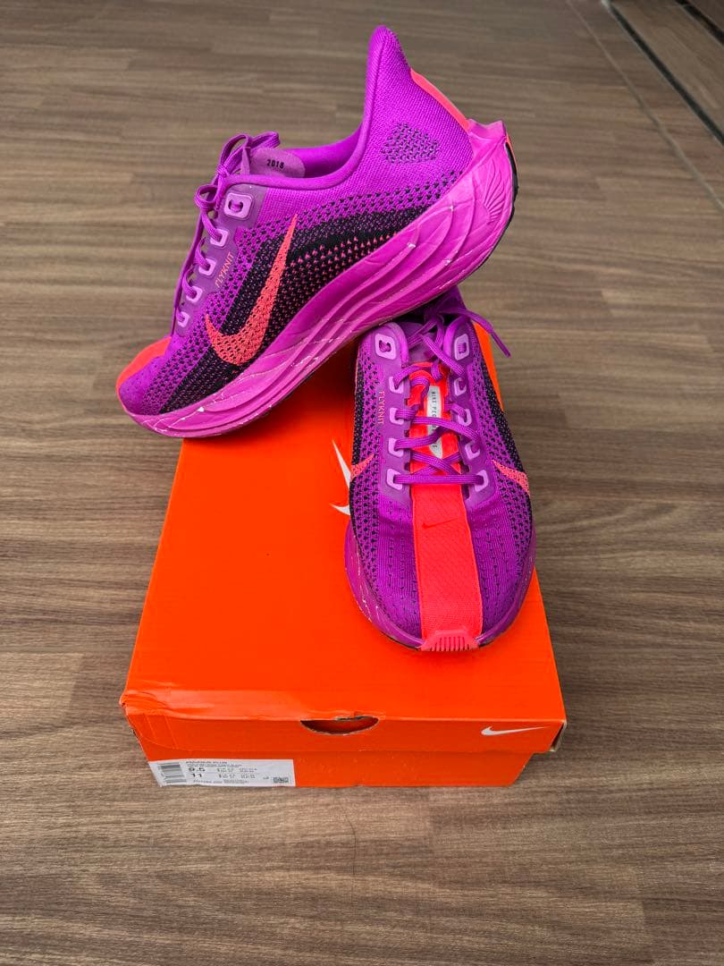 Nike Pegasus Plus ペガサス プラス27.5cm