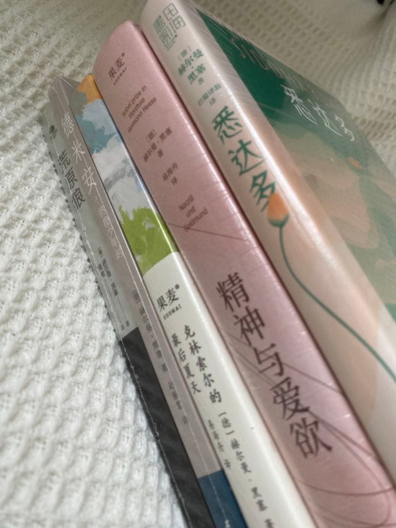 黑塞作品集 悉达多精神与爱欲克里索尔最后的夏天荒原狼德米安杨武能巴蜀译翁译悉达多