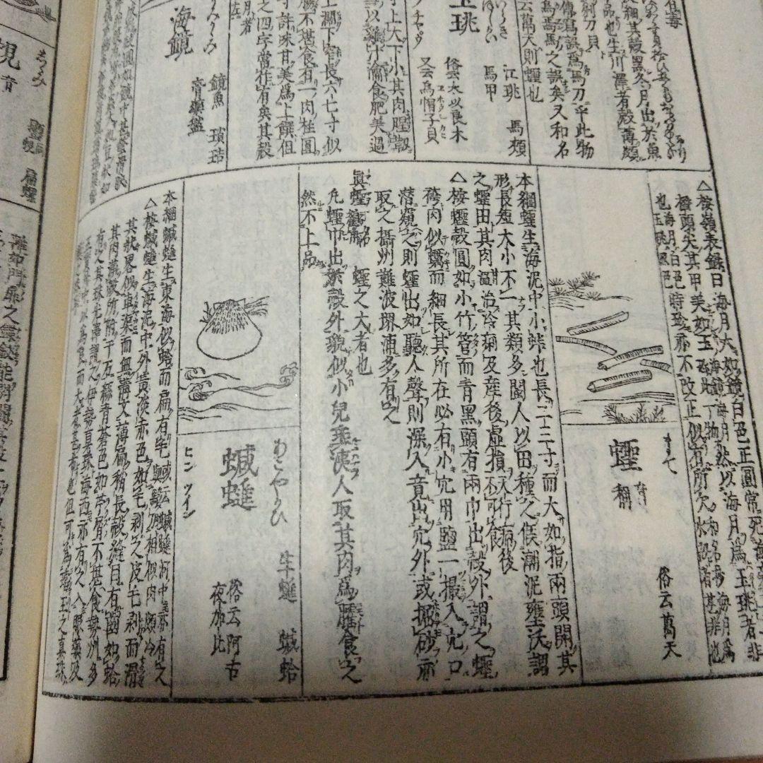 希少価値　明治39年発行「倭漢三才圖會」