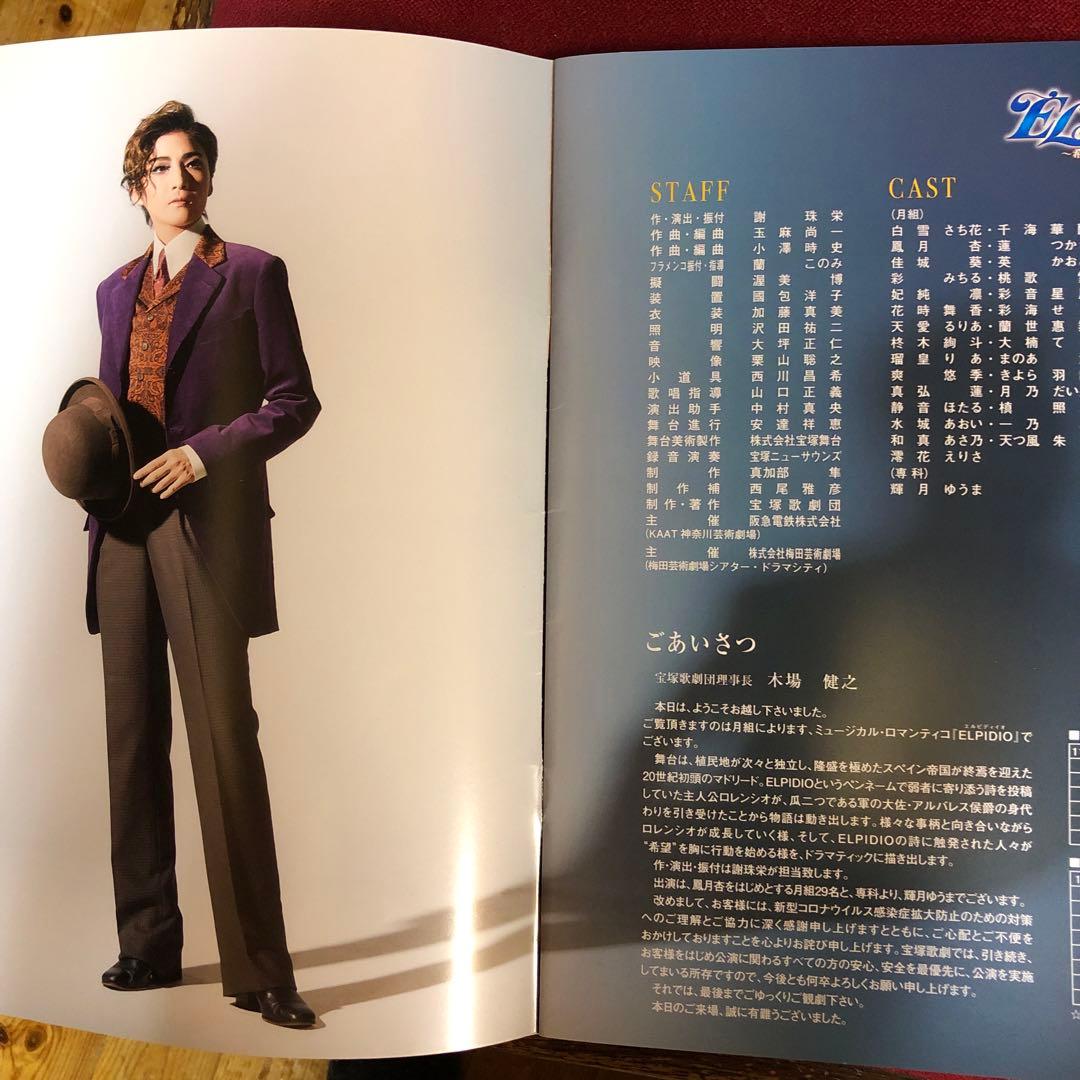 月組 KAAT神奈川芸術劇場公演 ミュージカル・ロマンティコ ELPIDIO～…