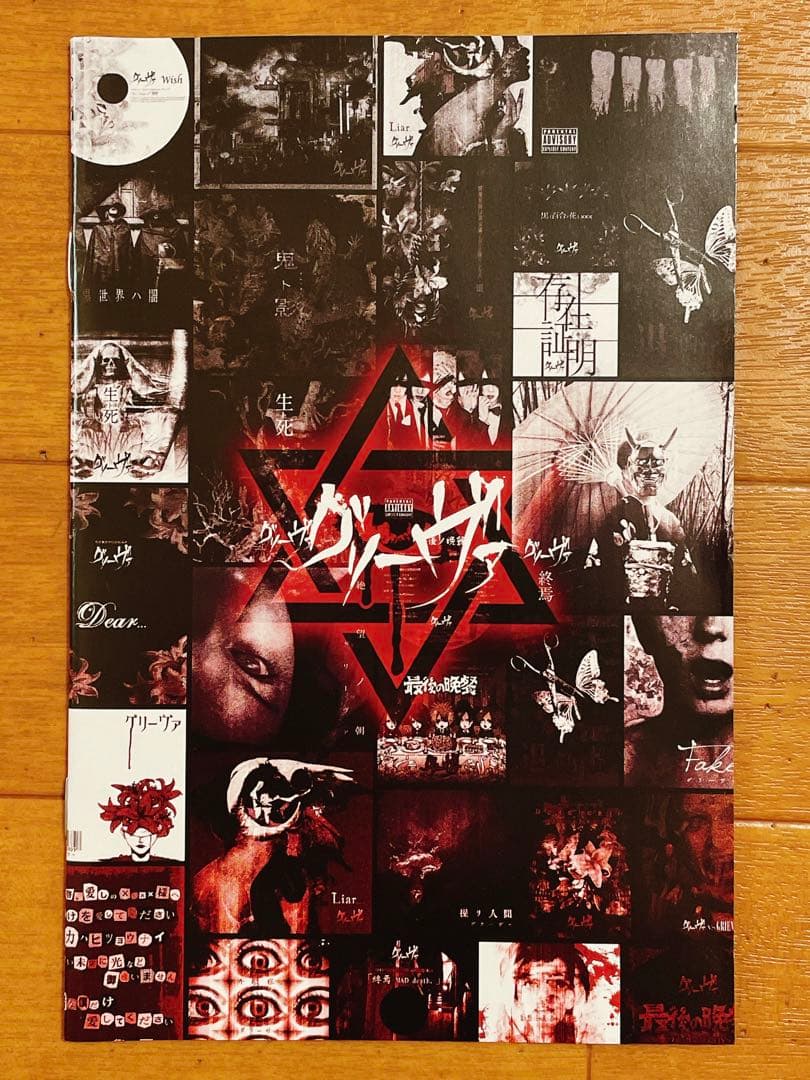 CD グリーヴァ BEST ALBUM ベストアルバム 初回豪華版 V系