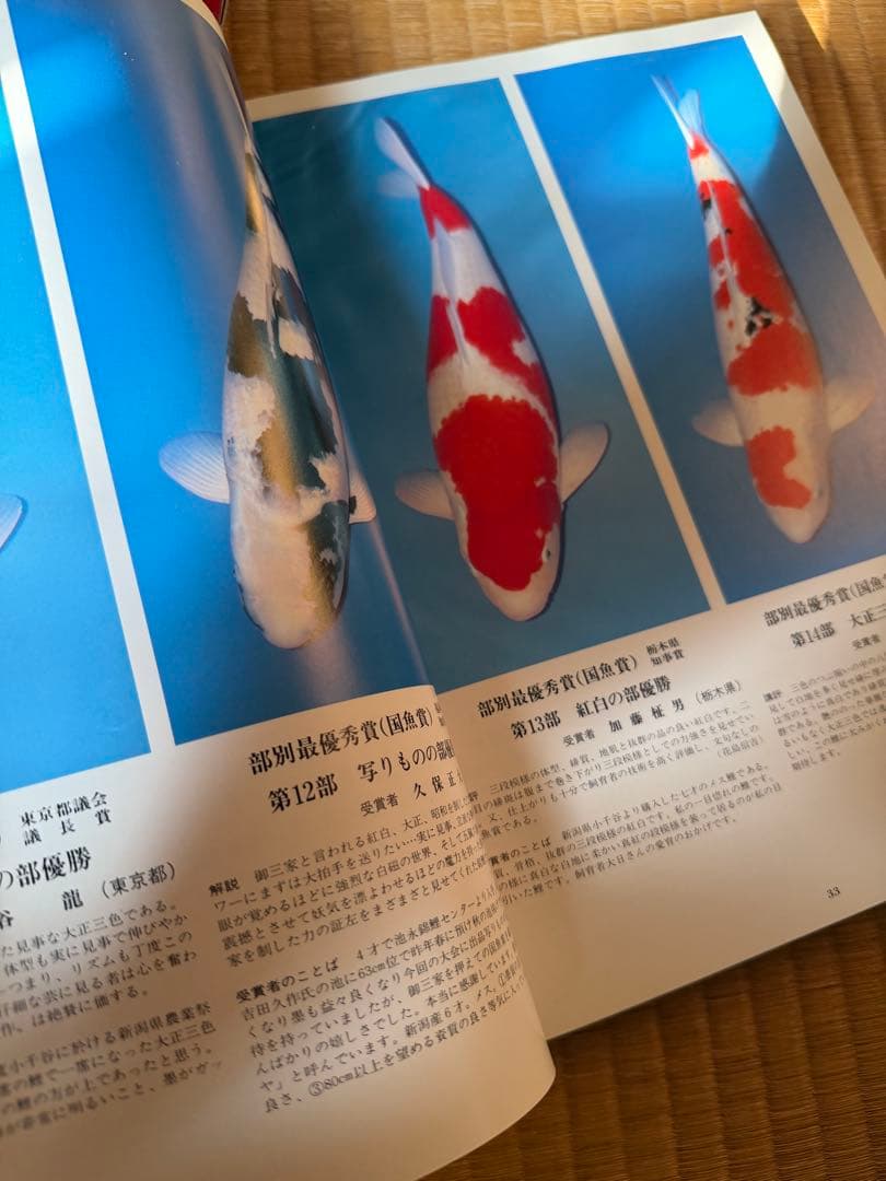 国魚の辞典