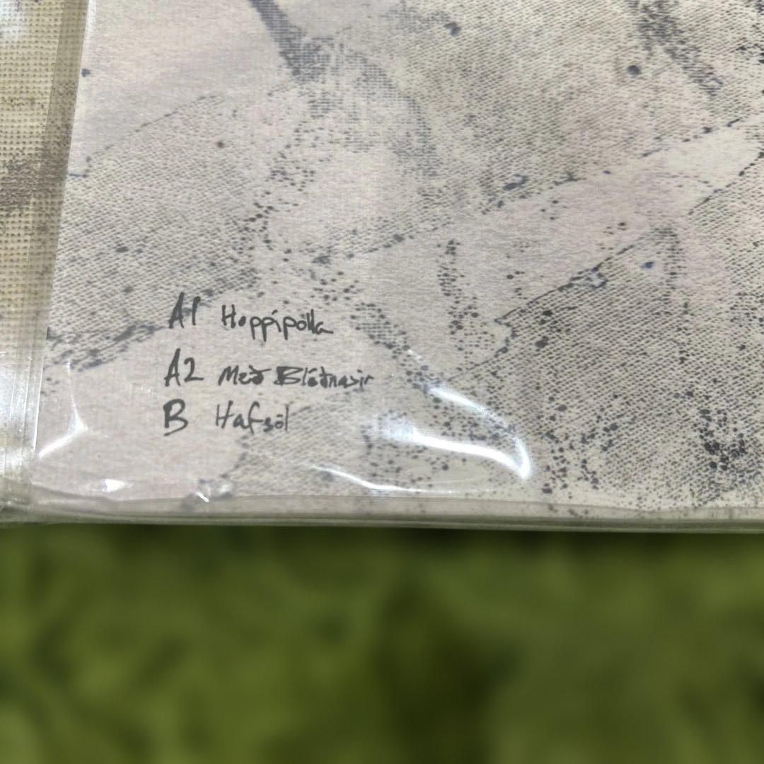 sigur ros 12”レコード2枚セット hoppipolla ポスター付き
