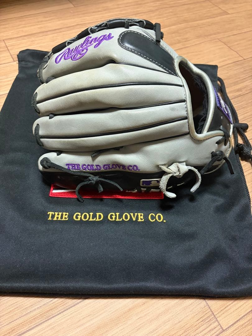 Rawlings ゴールドグローブ グレー 専用袋付き