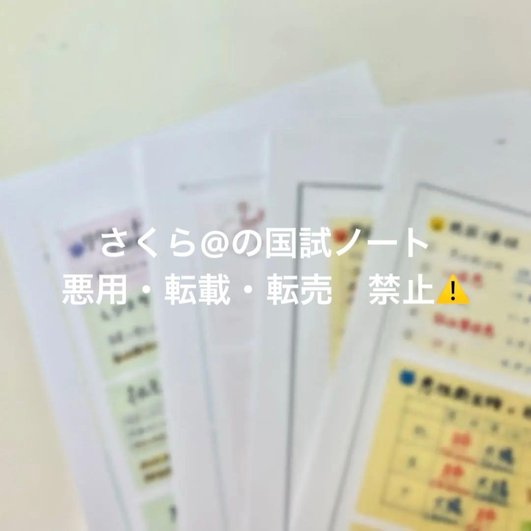 看護【国試対策ノート】【基礎】+【病態】A4サイズ余白あり！勉強・暗記に大活躍！