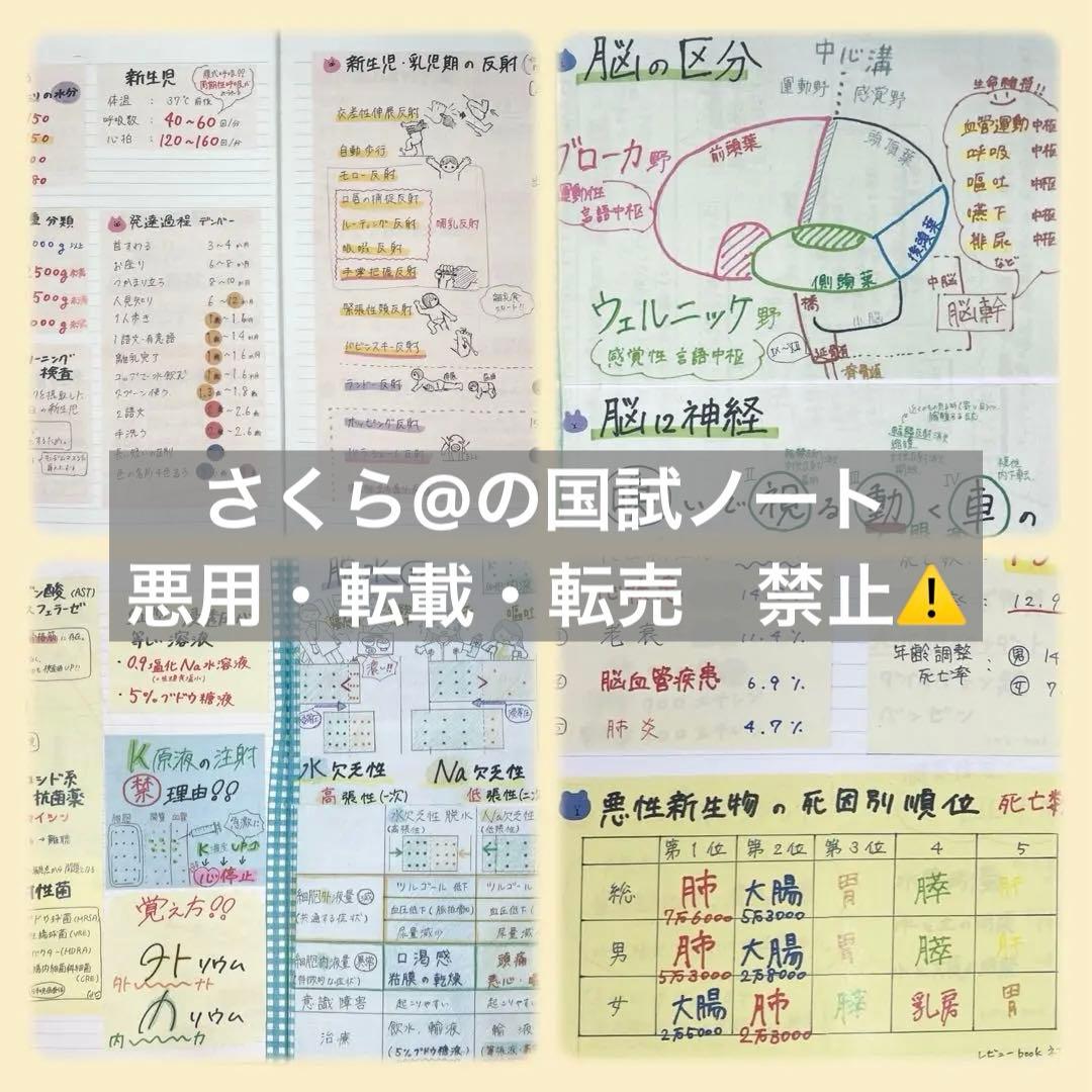 看護【国試対策ノート】【基礎】+【病態】A4サイズ余白あり！勉強・暗記に大活躍！