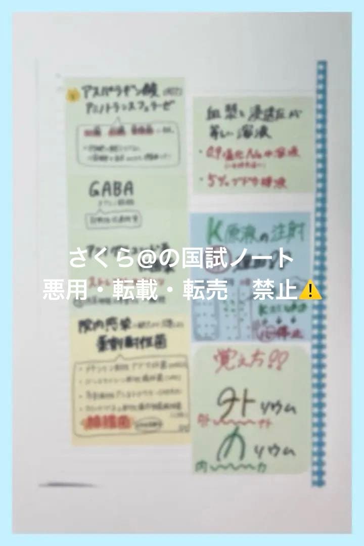 看護【国試対策ノート】【基礎】+【病態】A4サイズ余白あり！勉強・暗記に大活躍！