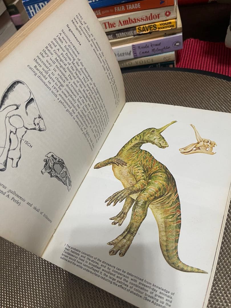 希少DINOSAURS L.B. Halstead Jenny Halstead