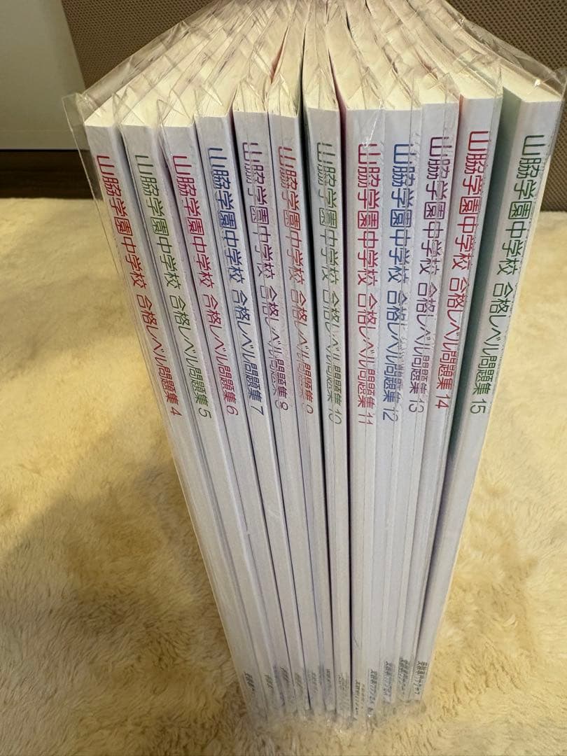 サクセス　山脇学園中学校 合格レベル問題集 セット