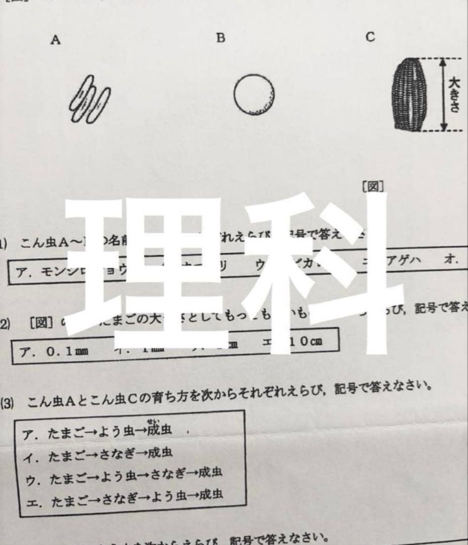 浜学園 公開学力テスト 小4 2022年〜2024年 4科目 3年分、