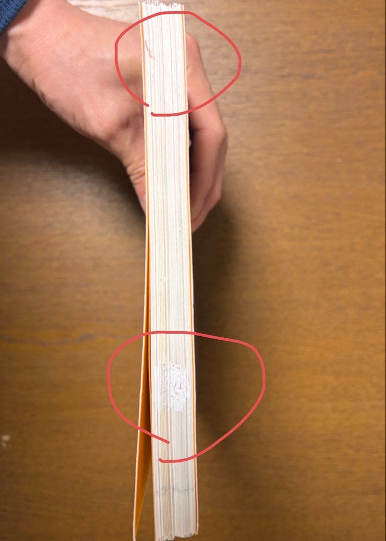 成り立ちから理解する心電図波形 心筋の活動電位を読み解く（裁断済み）