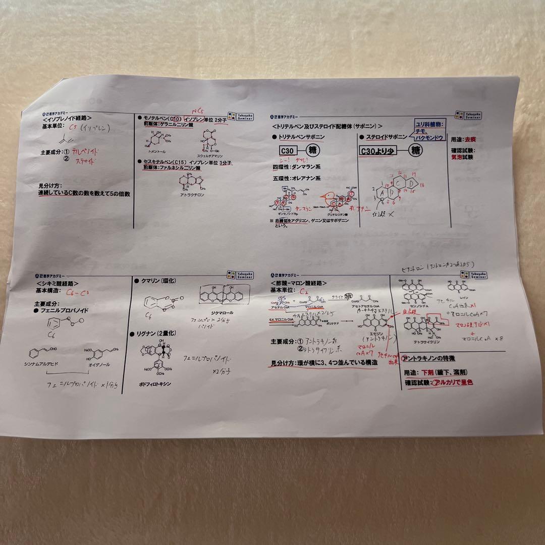 青本　青問　薬ゼミ　110回　セット　山かけ 教材付き　薬剤師国家試験