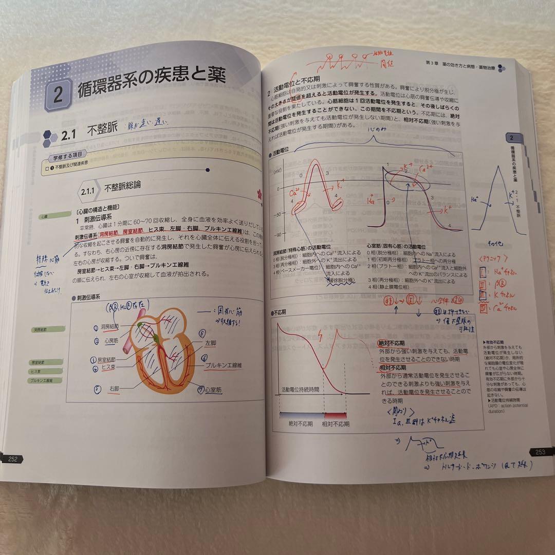 青本　青問　薬ゼミ　110回　セット　山かけ 教材付き　薬剤師国家試験