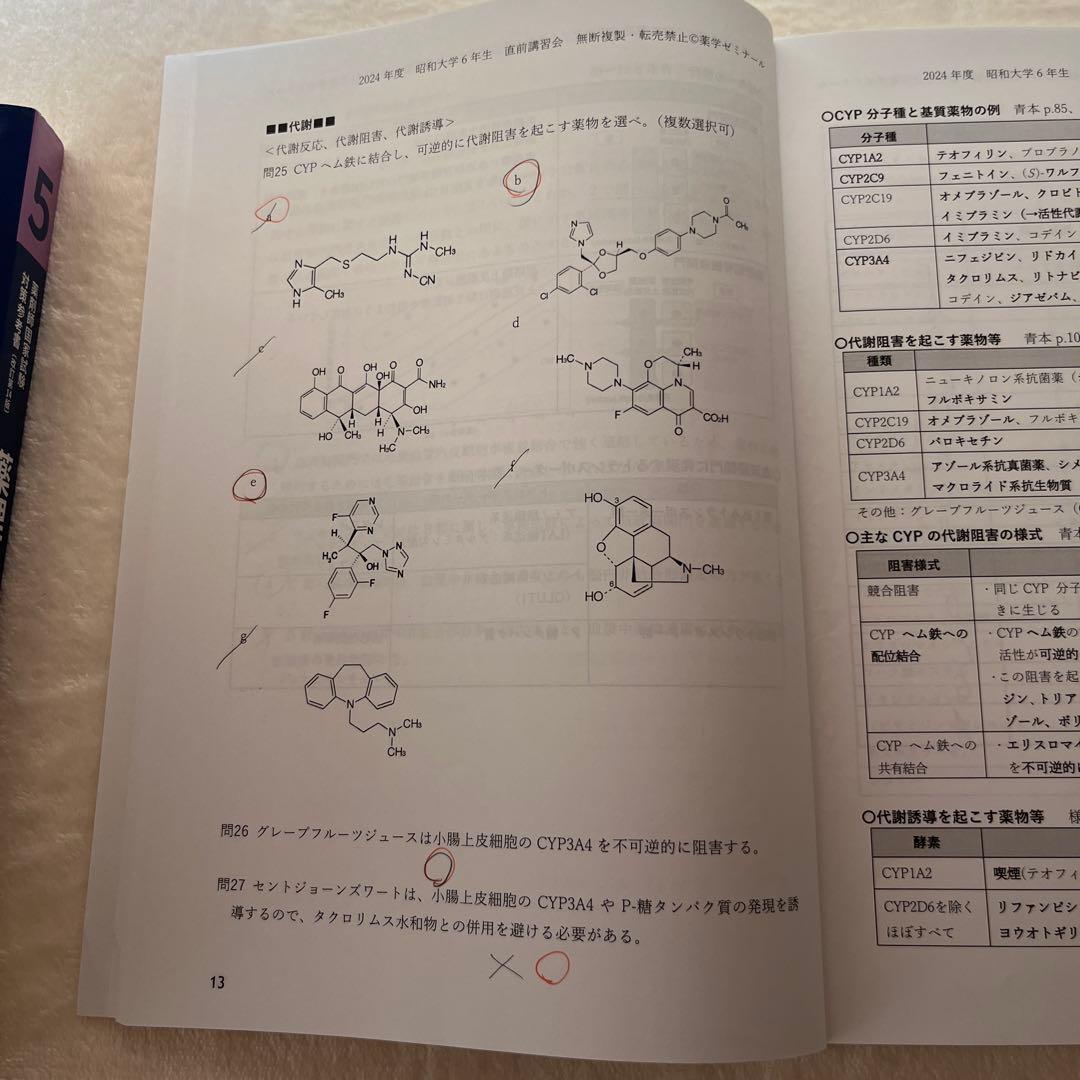 青本　青問　薬ゼミ　110回　セット　山かけ 教材付き　薬剤師国家試験