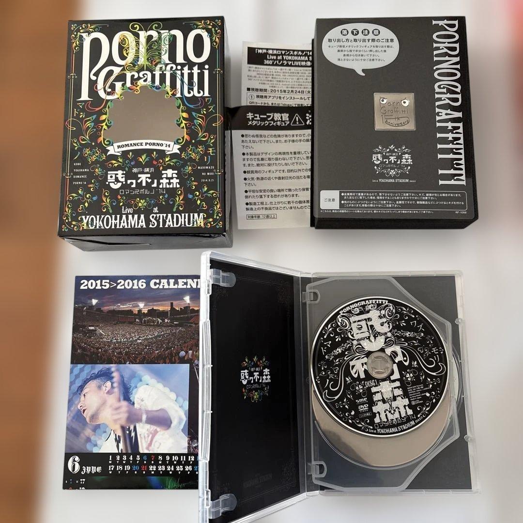 ポルノグラフィティDVDなどまとめ売り17点セットPORNO GRAFFITTI