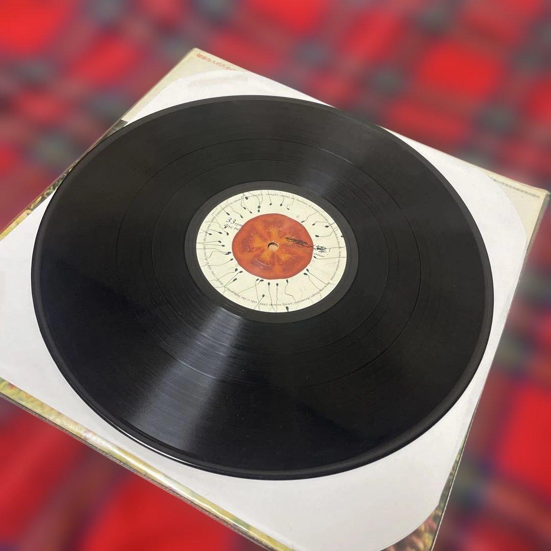 緑黄色人種 SHING02 アナログ盤 2枚組レコード 1999年 オリジナル盤