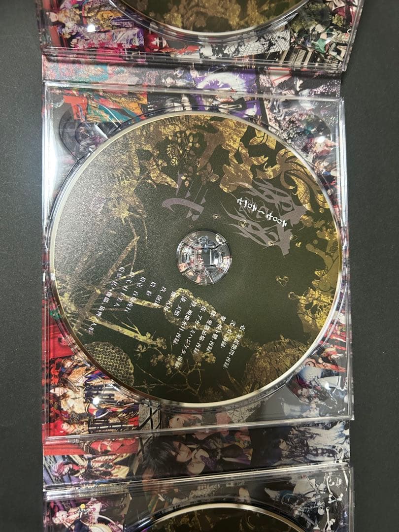 己龍 ベストアルバム 初回限定盤A type 音源9枚セット