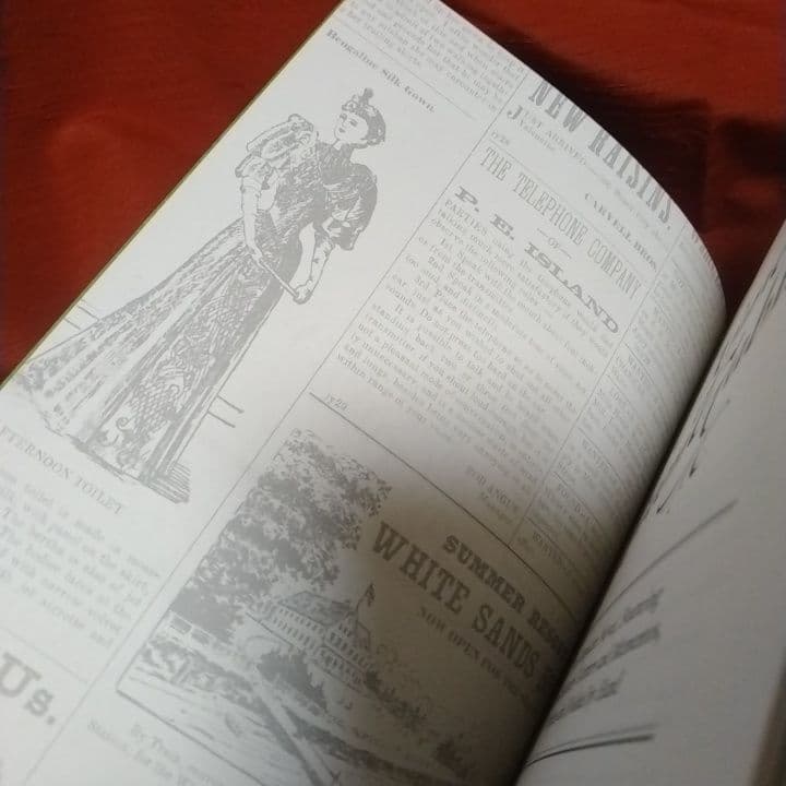 Anne of Green Gables✨サプライズ・ポケット頁がさらに魅力❣️