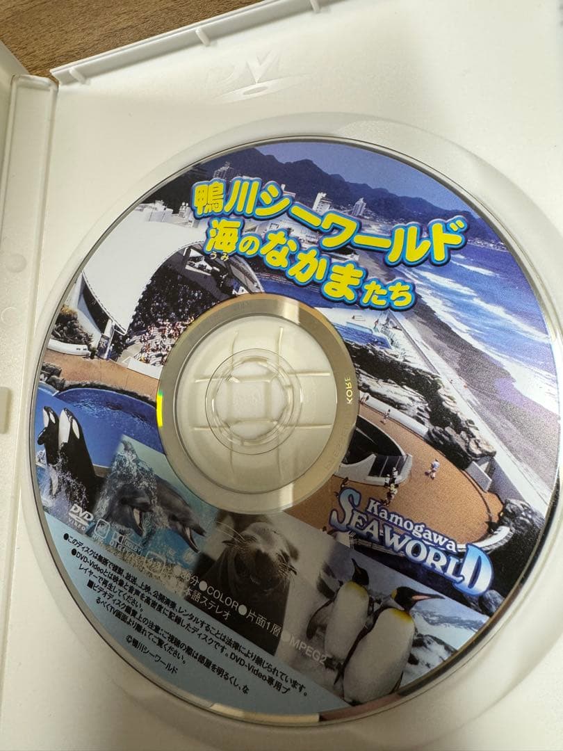 【数日限定販売】鴨川シーワールド 海のなかまたち DVD 限定映像 希少