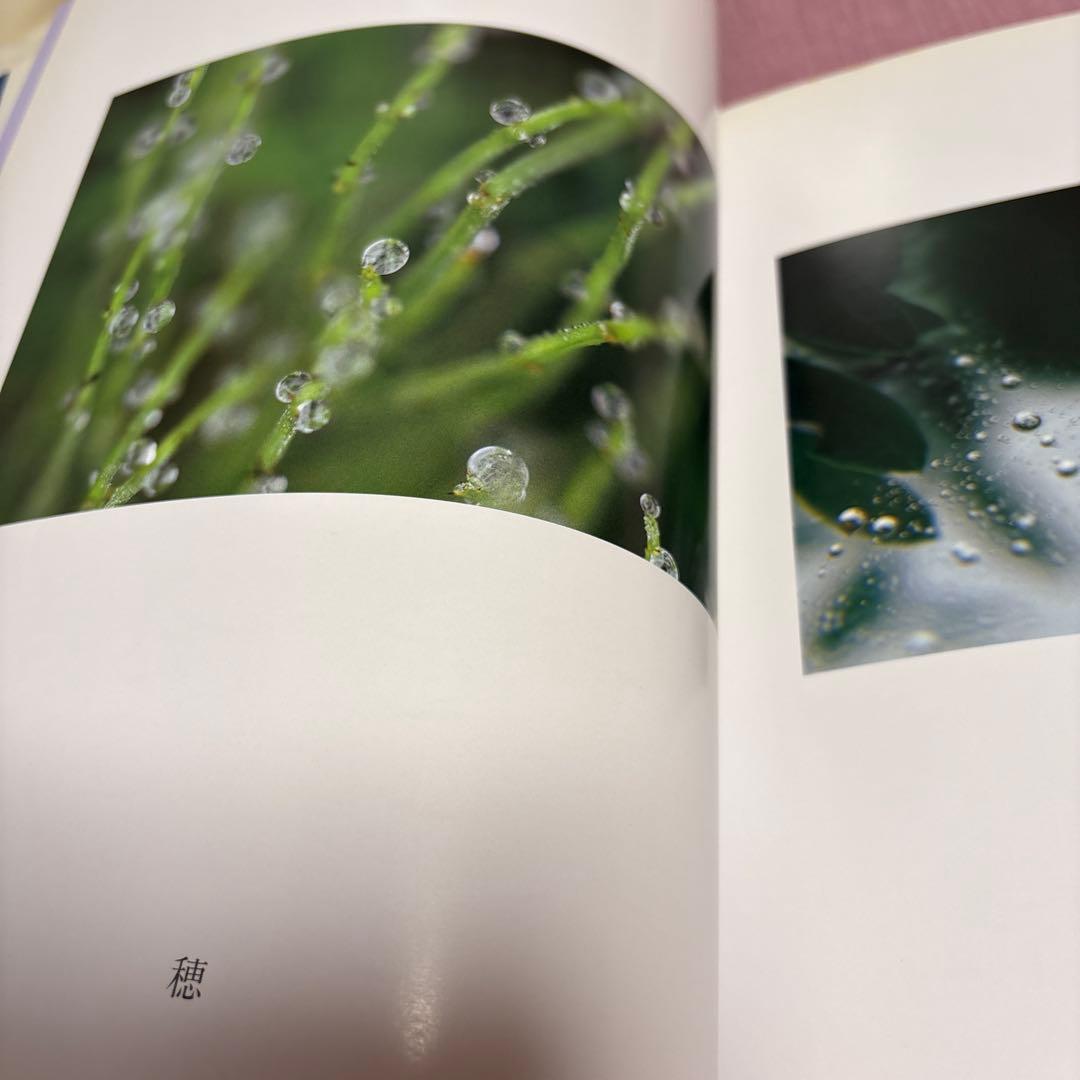 水に抱かれて　鈴木 瑩子　作品集　写真集