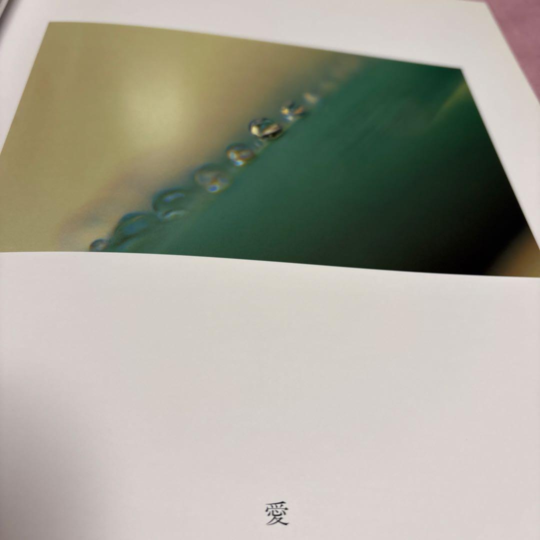 水に抱かれて　鈴木 瑩子　作品集　写真集