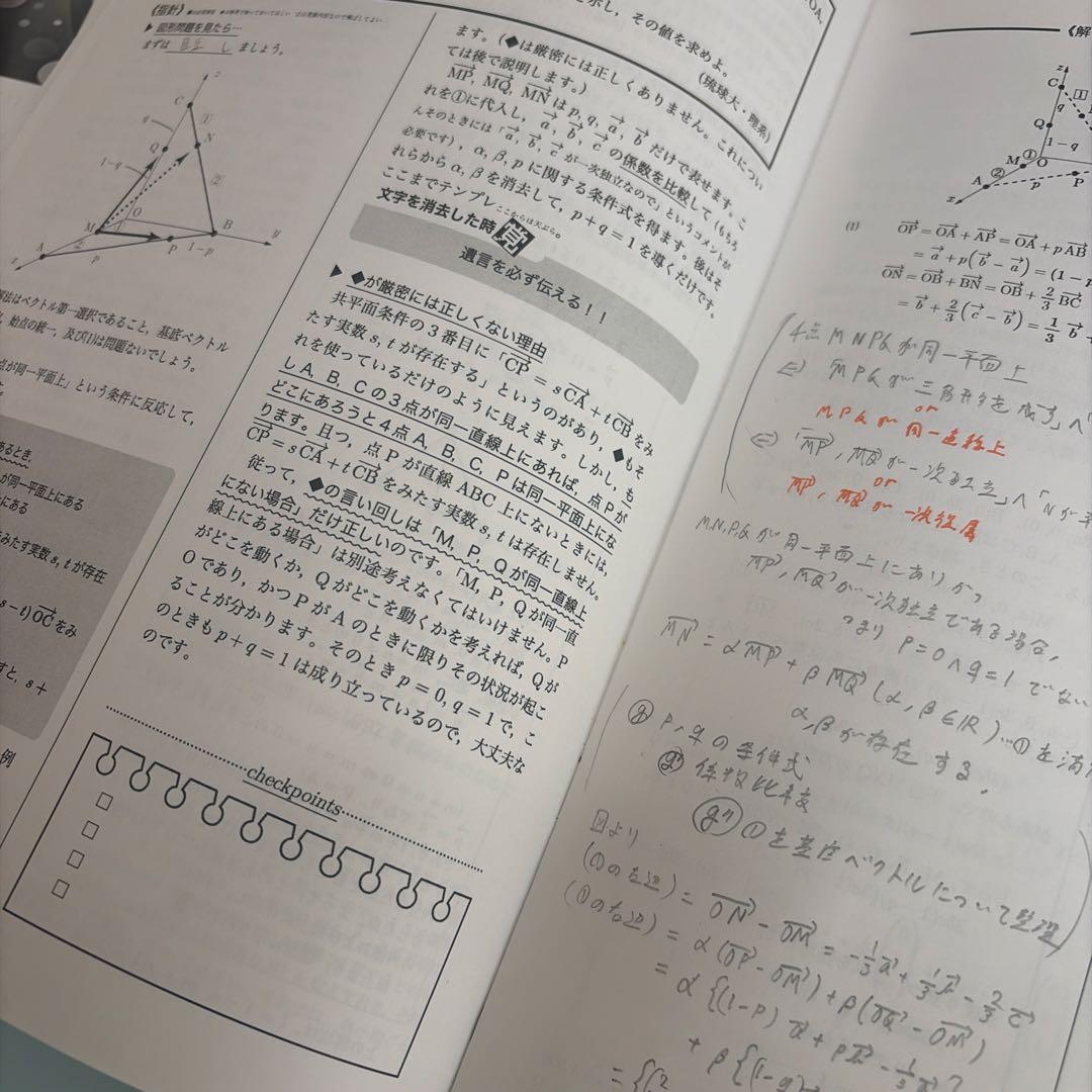 鉄緑会 高2数学 数学実践講座 授業冊子/ テキスト/春季講習冊子 最新版