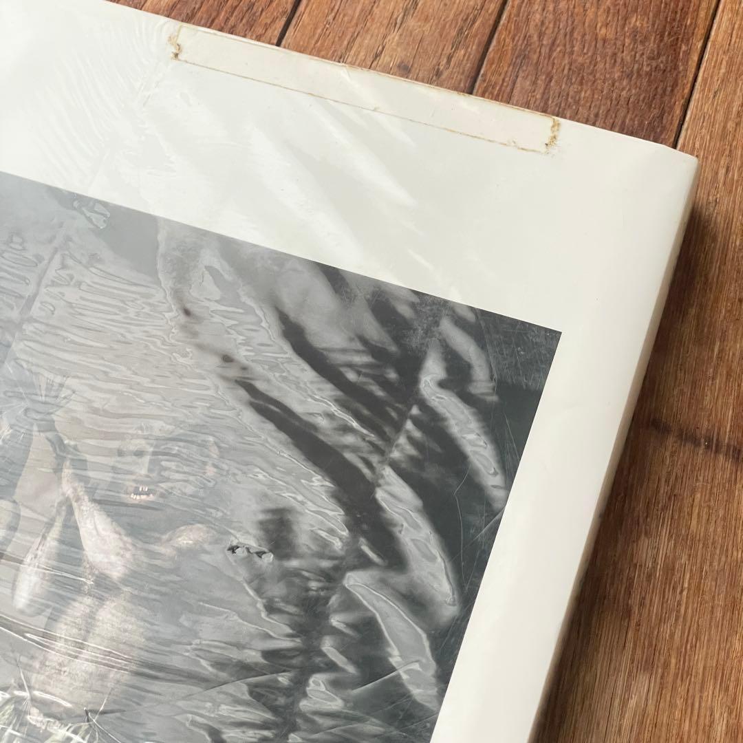 希少Irving Penn A Notebook at Random 写真集